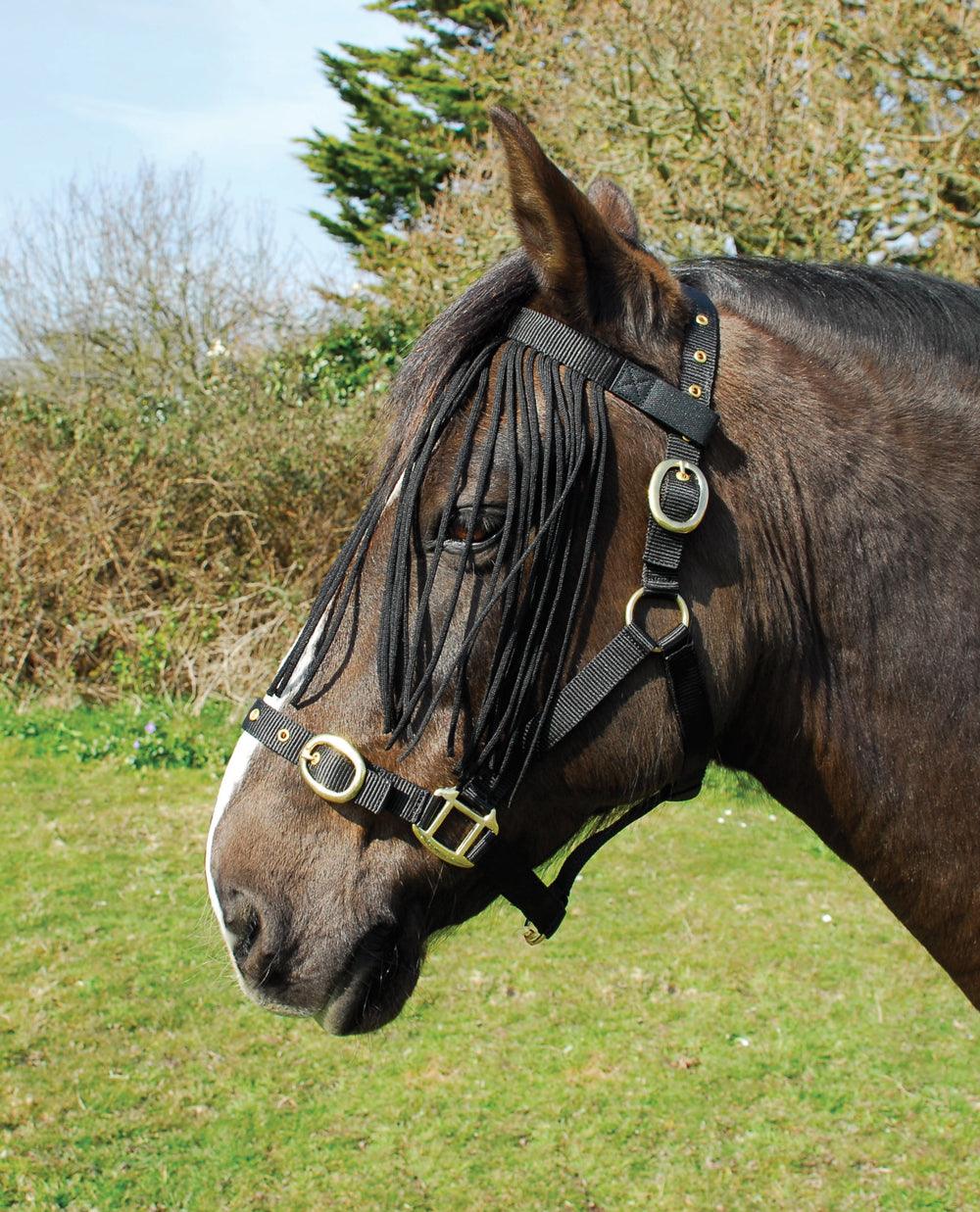 Rhinegold Frange Anti-Mouches - SHOP HORSE